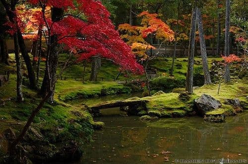 Kokodera placeholder