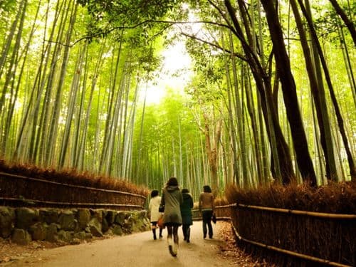 Image without description