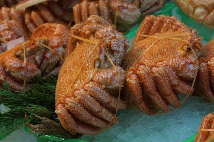 Hakodate Crab