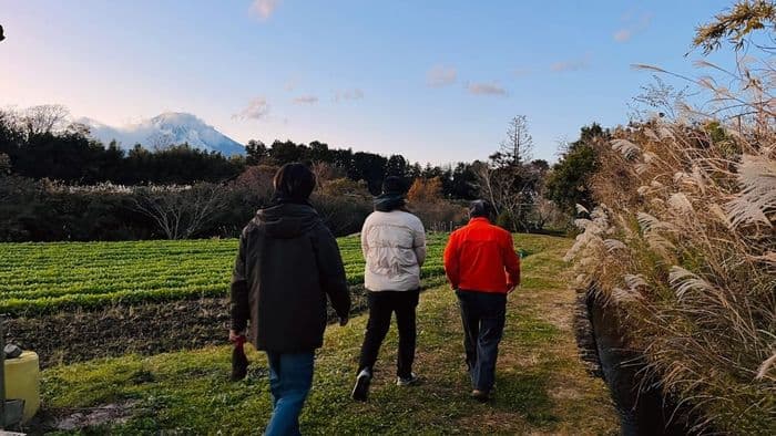 Shizuoka Farmstay
