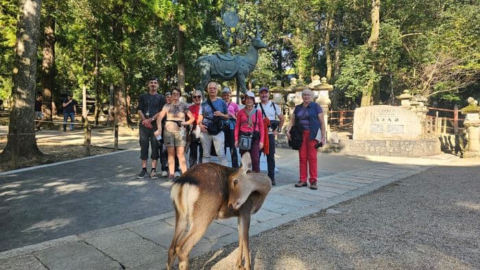 L'animal sacré de Nara