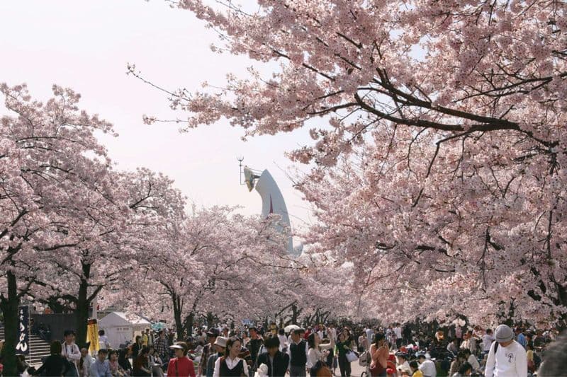 Osaka Expo 1970 Park