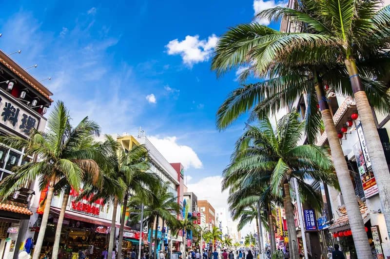 Okinawa Kokusai Dori Street Main