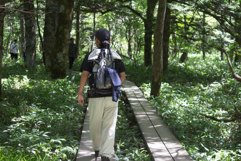 Kamikochi way bright
